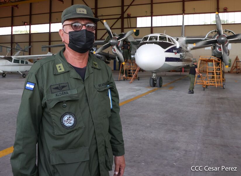 aerea
